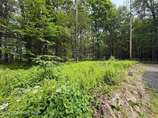 a view of outdoor space with deck and yard