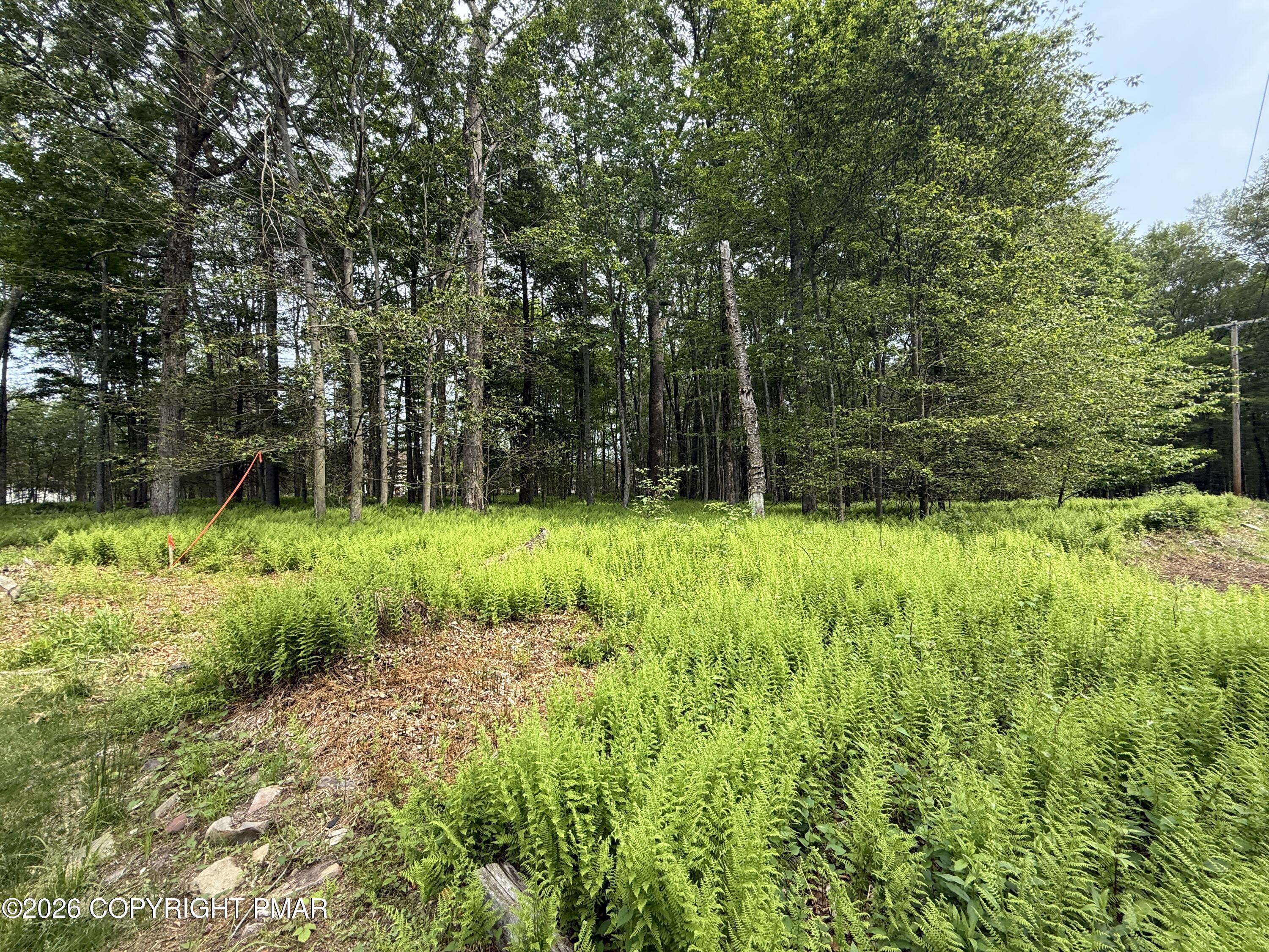 Dorshimer Avenue Blakeslee, PA 18610 - Photo 5 of 6 IMG_2328