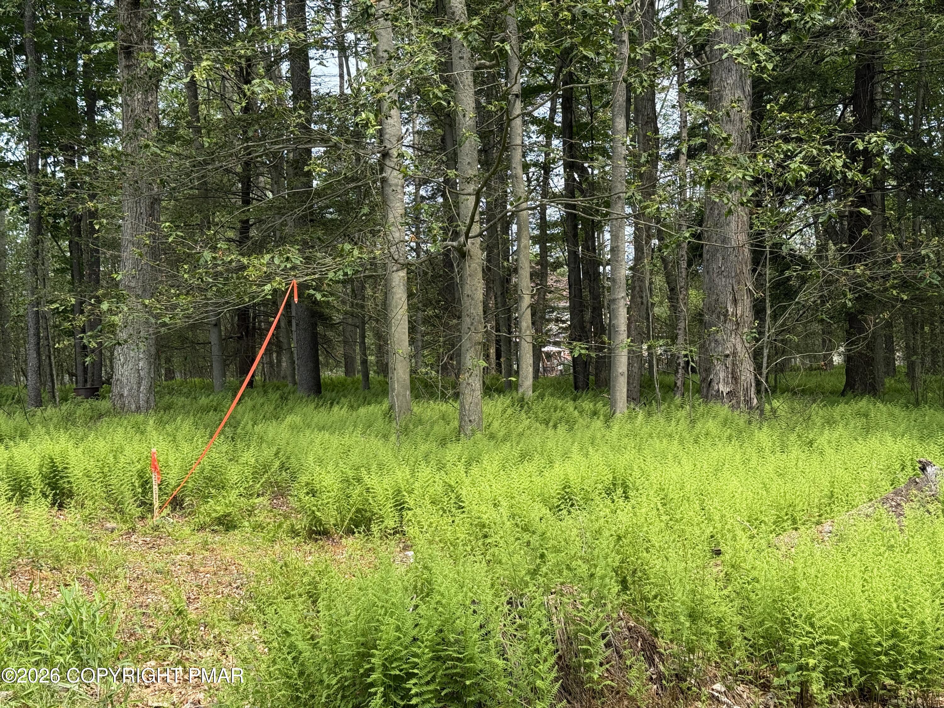 Dorshimer Avenue Blakeslee, PA 18610 - Photo 6 of 6 IMG_2329