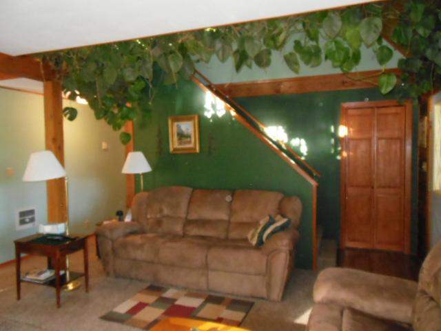 224 Anderson Road Kettle Falls, WA 99141 - Photo 11 of 20 Gallery Image 11