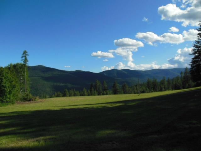 224 Anderson Road Kettle Falls, WA 99141 - Photo 3 of 20 Gallery Image 3