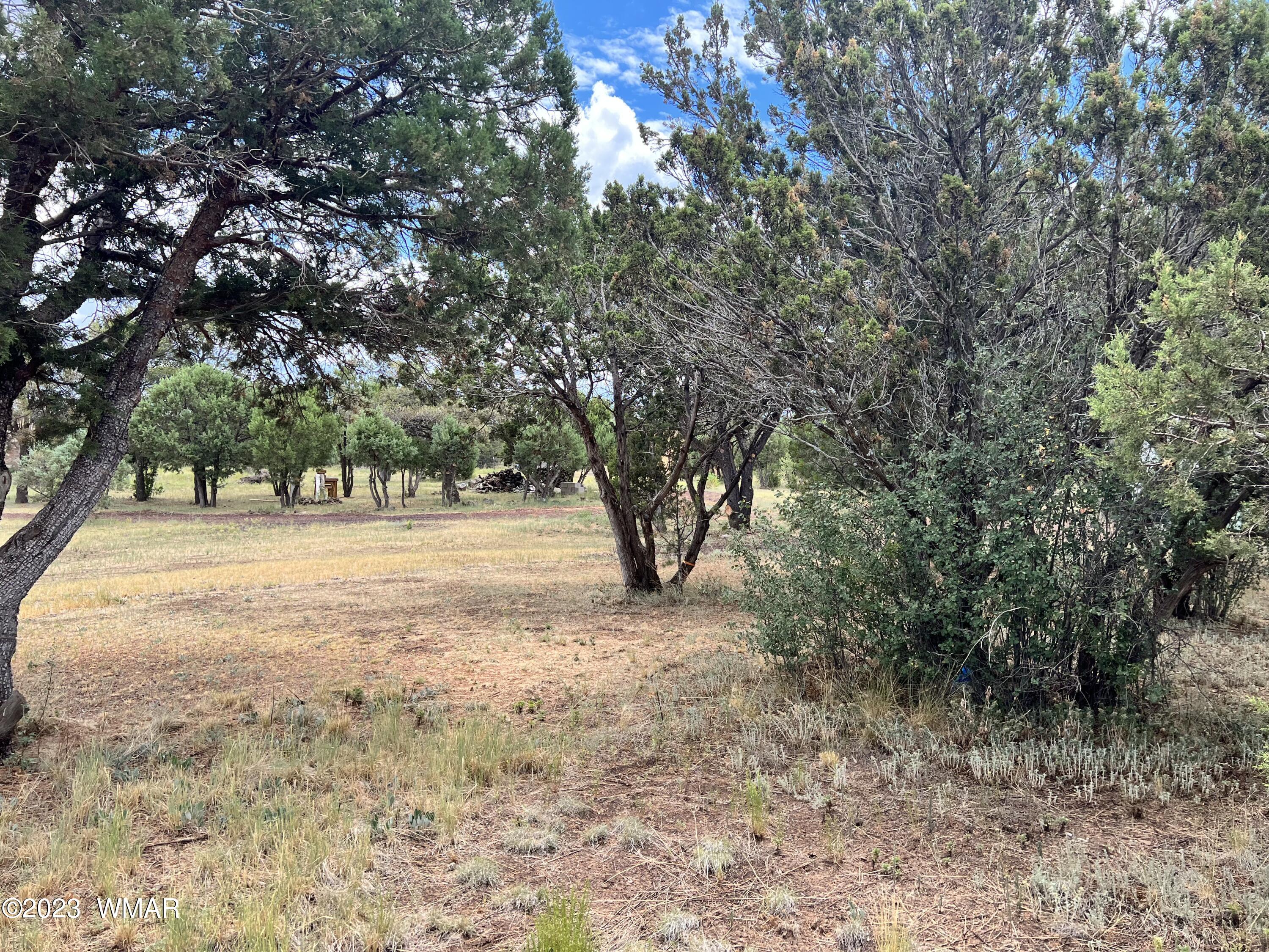 Lot 9th Lot 9th Road Show Low, AZ 85901 - Photo 4 of 6