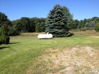 17756 Gregory Road Gregory, MI 48137 - Photo 8 of 9 lp gas.jpg