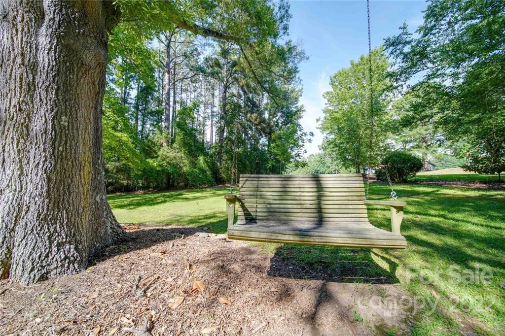 699 Bailey Road Lancaster, SC 29720 - Photo 36 of 43 a view of a yard with plants