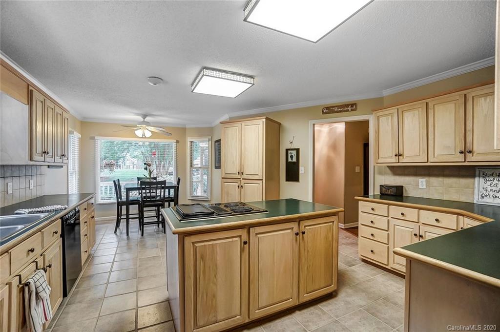 11064 Caroline Acres Road Indian Land, SC 29707 - Photo 5 of 33
