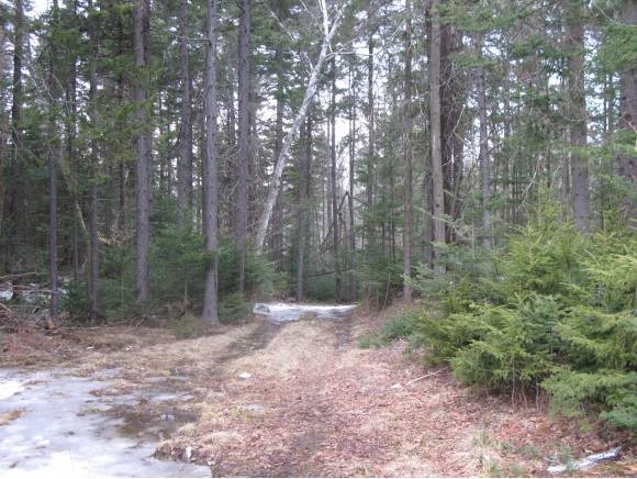 White Road Windham, VT 05359 - Photo 1 of 1