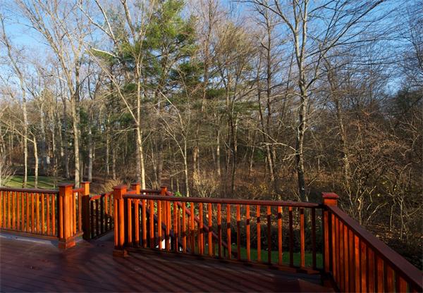 92 Livingston Road Wellesley, MA 02482 - Photo 16 of 19