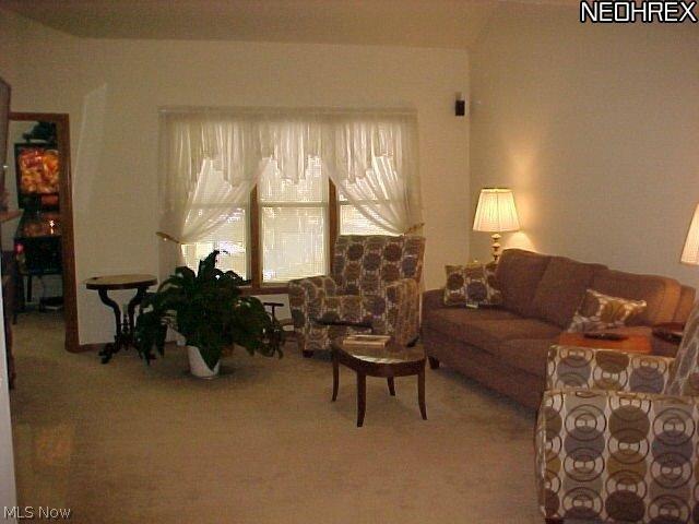 39284 Chestnut Ridge Road Elyria, OH 44035 - Photo 4 of 21 Spacious living room, neutral décor.