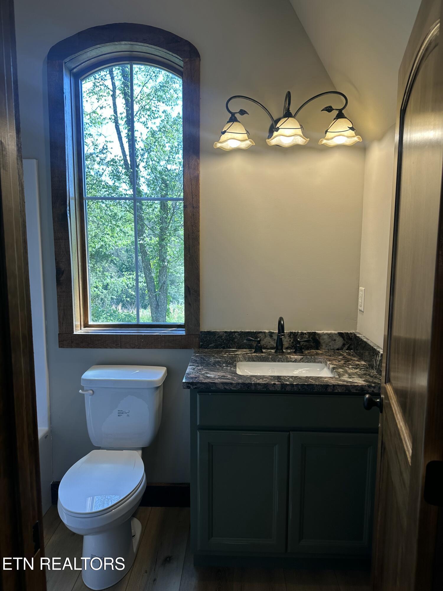 970 Douglas Dam Road Kodak, TN 37764 - Photo 31 of 49 Bathroom 2