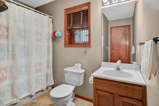 a bathroom with a sink a toilet and shower curtain