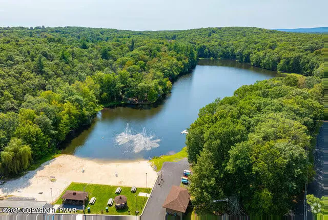 a view of a lake in middle of forest