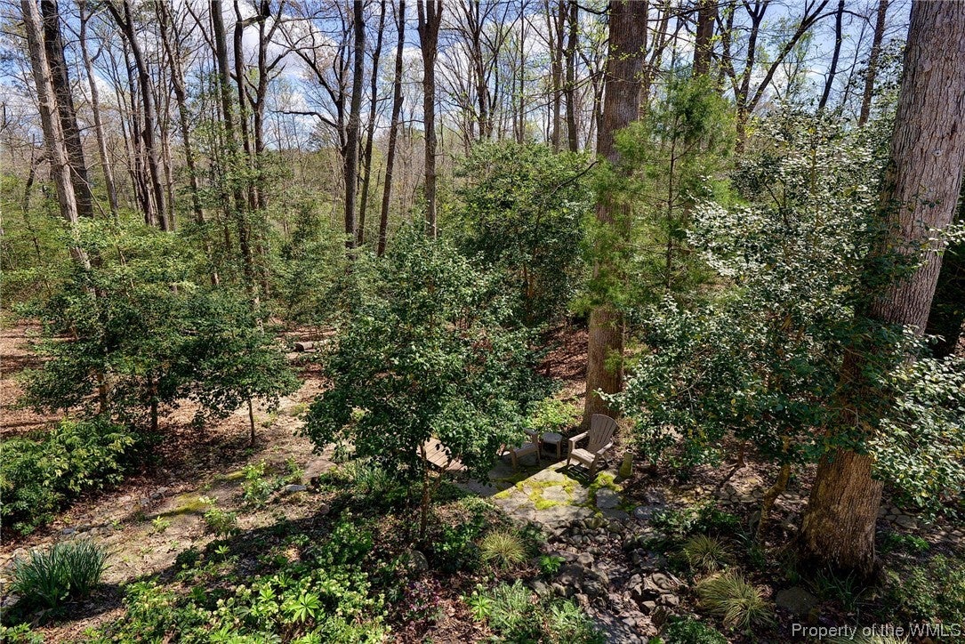 9916 Swallow Ridge Toano, VA 23168 - Photo 43 of 48 Gallery Image 43