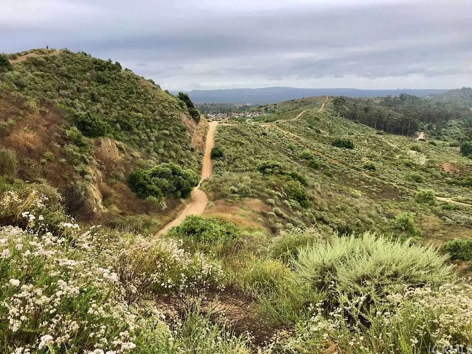 10381 Prather Lane Tustin, CA 92782 - Photo 36 of 42