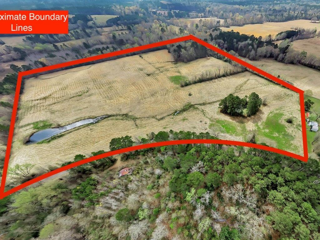a view of a white and red umbrella
