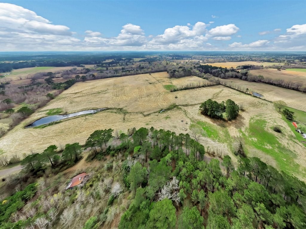 L28104 Gilliland Creek Road Huntington, TX 75949 - Photo 11 of 13 a view of an ocean and beach
