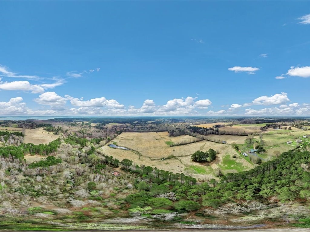 L28104 Gilliland Creek Road Huntington, TX 75949 - Photo 12 of 13 a view of a lake with a beach