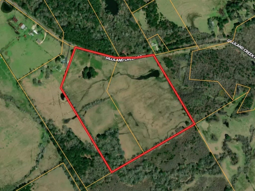 L28104 Gilliland Creek Road Huntington, TX 75949 - Photo 13 of 13 a view of a backyard