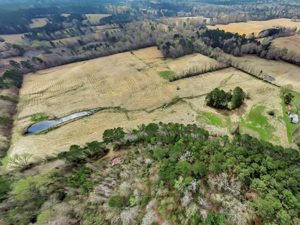 L28104 Gilliland Creek Road Huntington, TX 75949 - Photo 2 of 13 a view of snow on beach