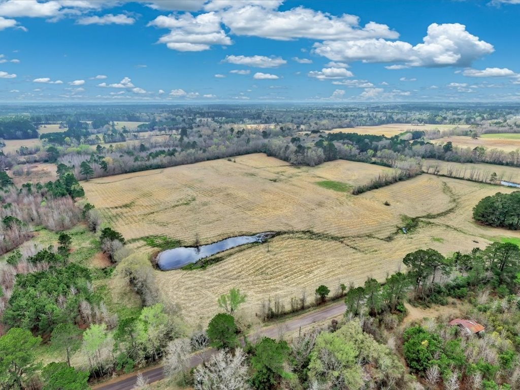 L28104 Gilliland Creek Road Huntington, TX 75949 - Photo 3 of 13 a view of ocean