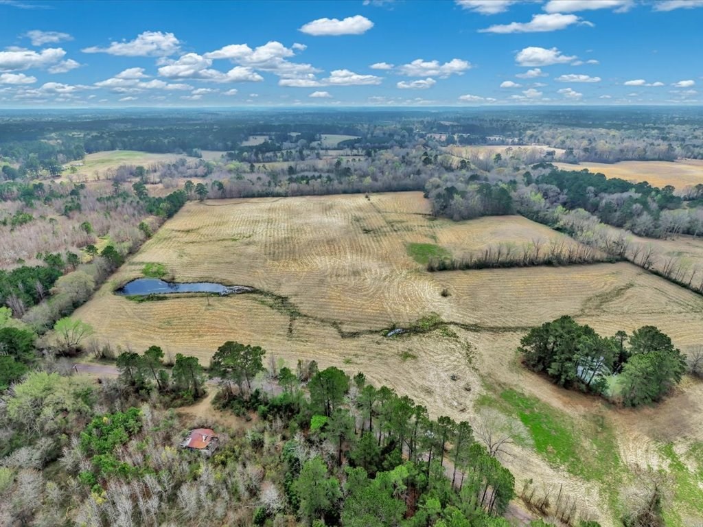 L28104 Gilliland Creek Road Huntington, TX 75949 - Photo 4 of 13 a view of a lake with a mountain