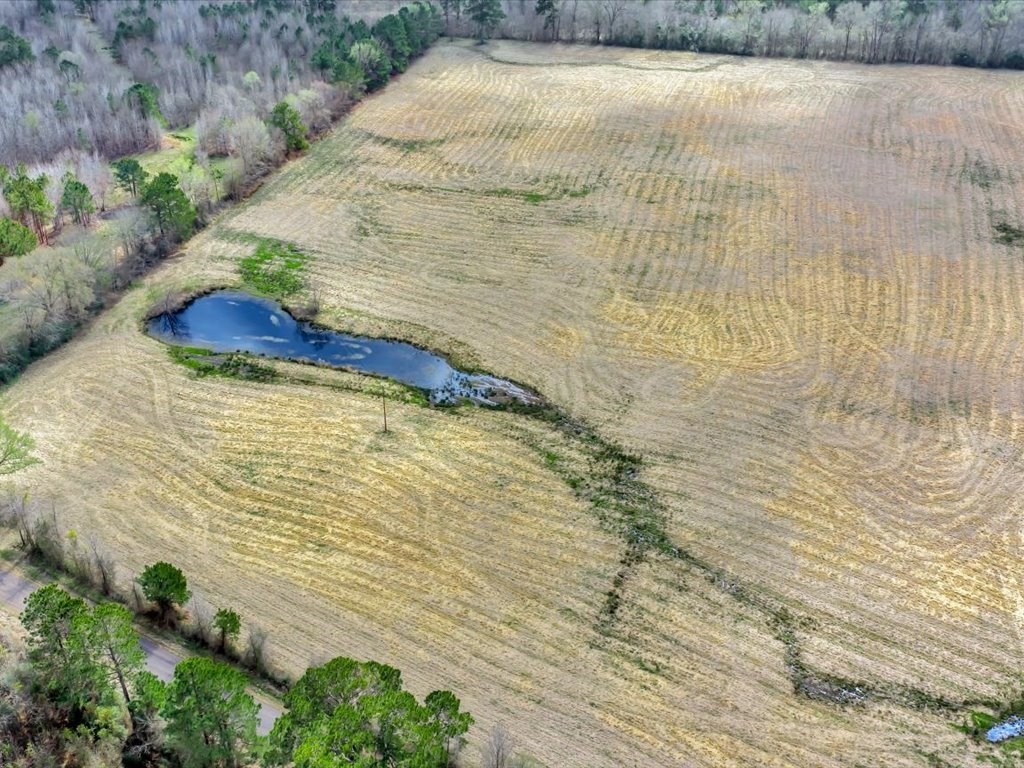 L28104 Gilliland Creek Road Huntington, TX 75949 - Photo 6 of 13 a view of a lake view