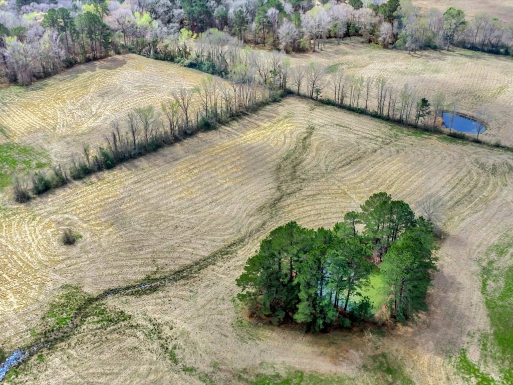 L28104 Gilliland Creek Road Huntington, TX 75949 - Photo 7 of 13 a view of an outdoor space and a lake view