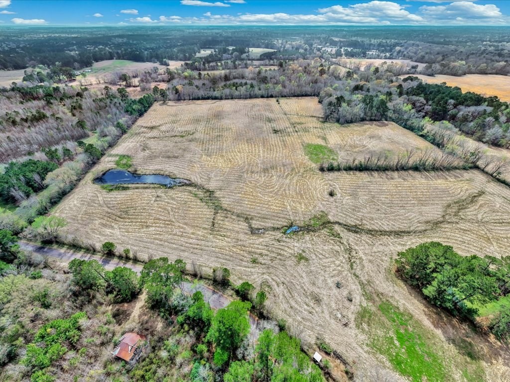 L28104 Gilliland Creek Road Huntington, TX 75949 - Photo 8 of 13 a view of a outdoor space
