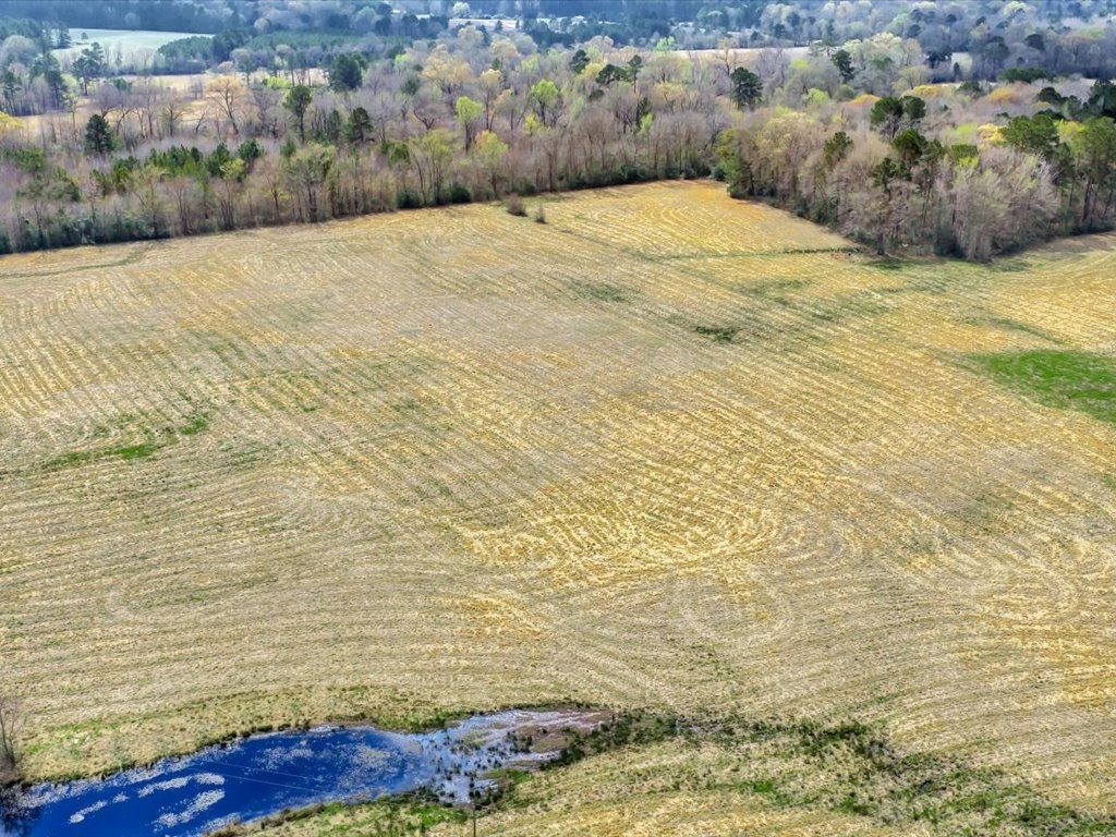 L28104 Gilliland Creek Road Huntington, TX 75949 - Photo 9 of 13 a view of water pool and mountain