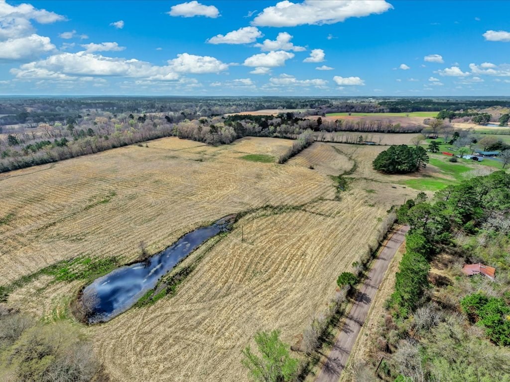 L28104 Gilliland Creek Road Huntington, TX 75949 - Photo 10 of 13 a view of a beach and ocean