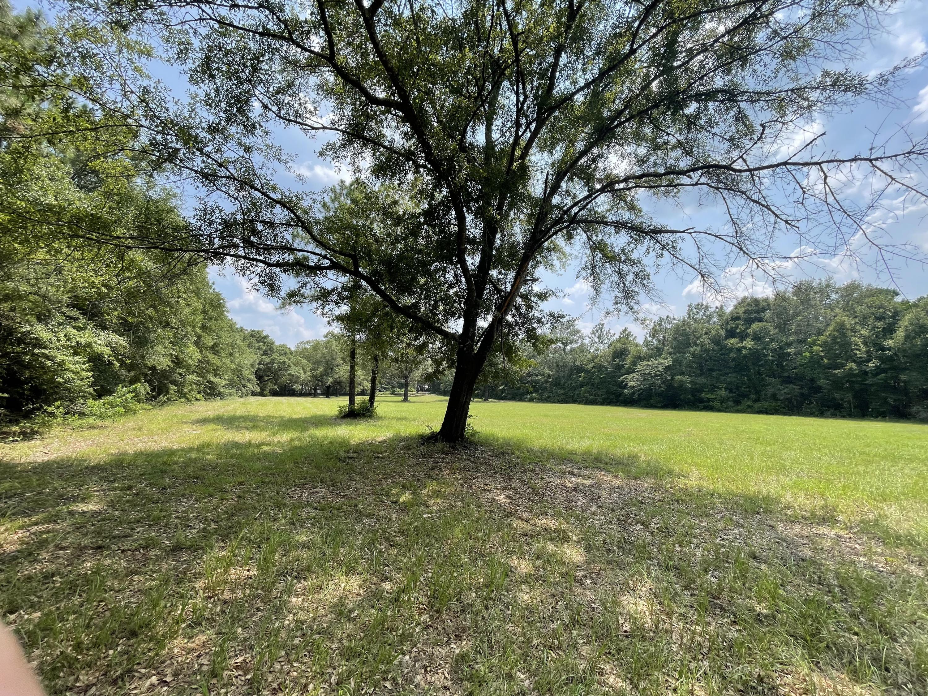 Lot C Kingston Road Crestview, FL 32536 - Photo 5 of 12 a view of field with large trees
