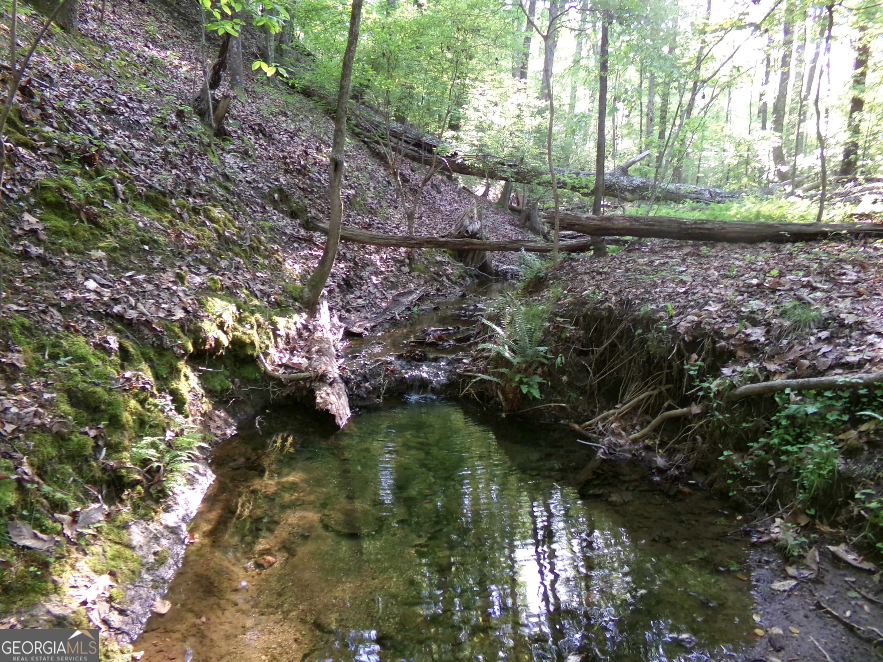 3905 Highway 138 Covington, GA 30014 - Photo 25 of 40