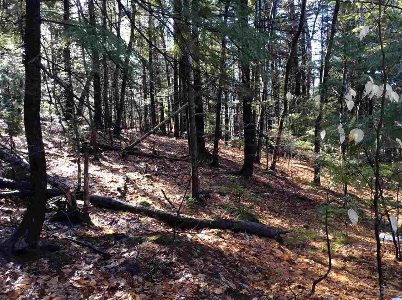 5 Eaton Road, Unit LOT #5 Center Conway, NH 03813 - Photo 1 of 2