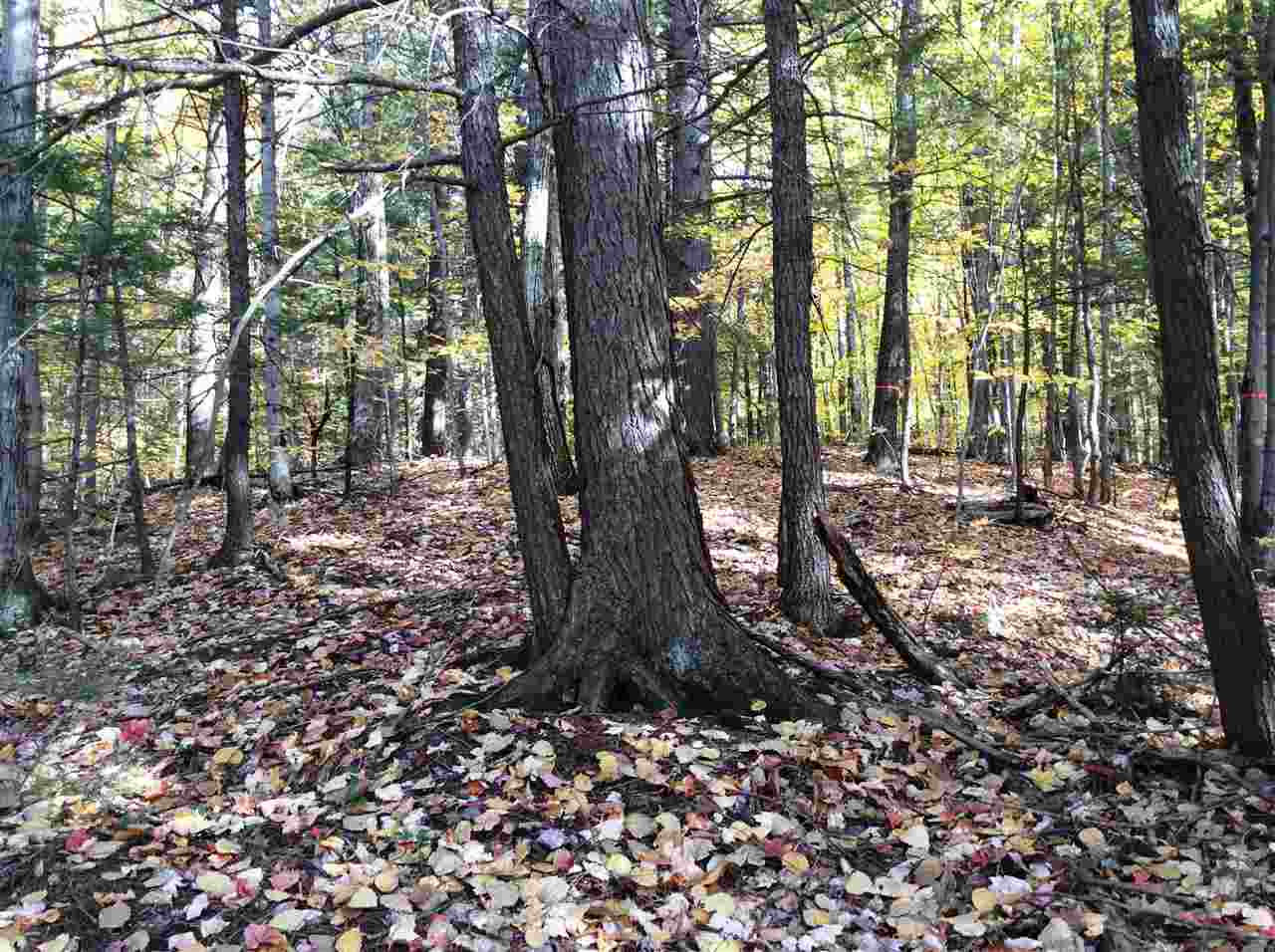 5 Eaton Road, Unit LOT #5 Center Conway, NH 03813 - Photo 2 of 2