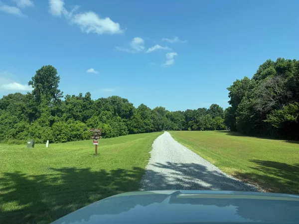 a view of field with tall trees