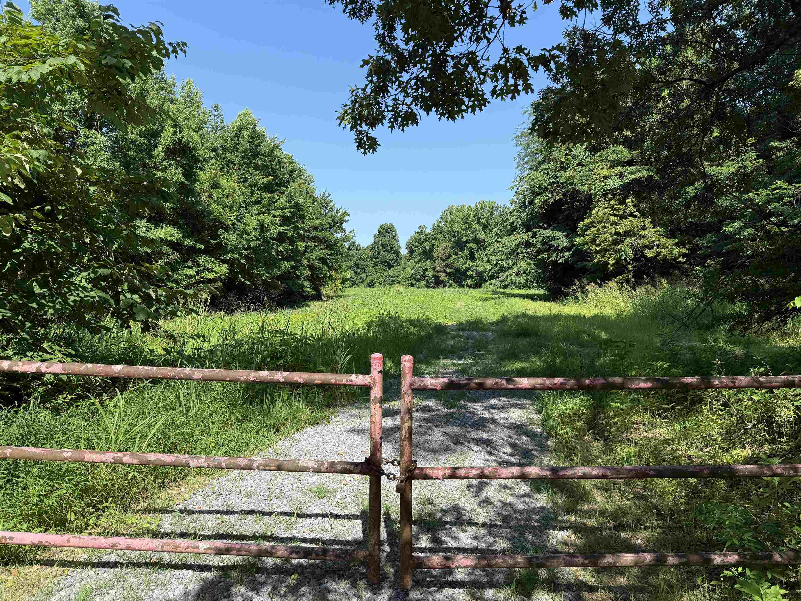 View of yard with a wooded view
