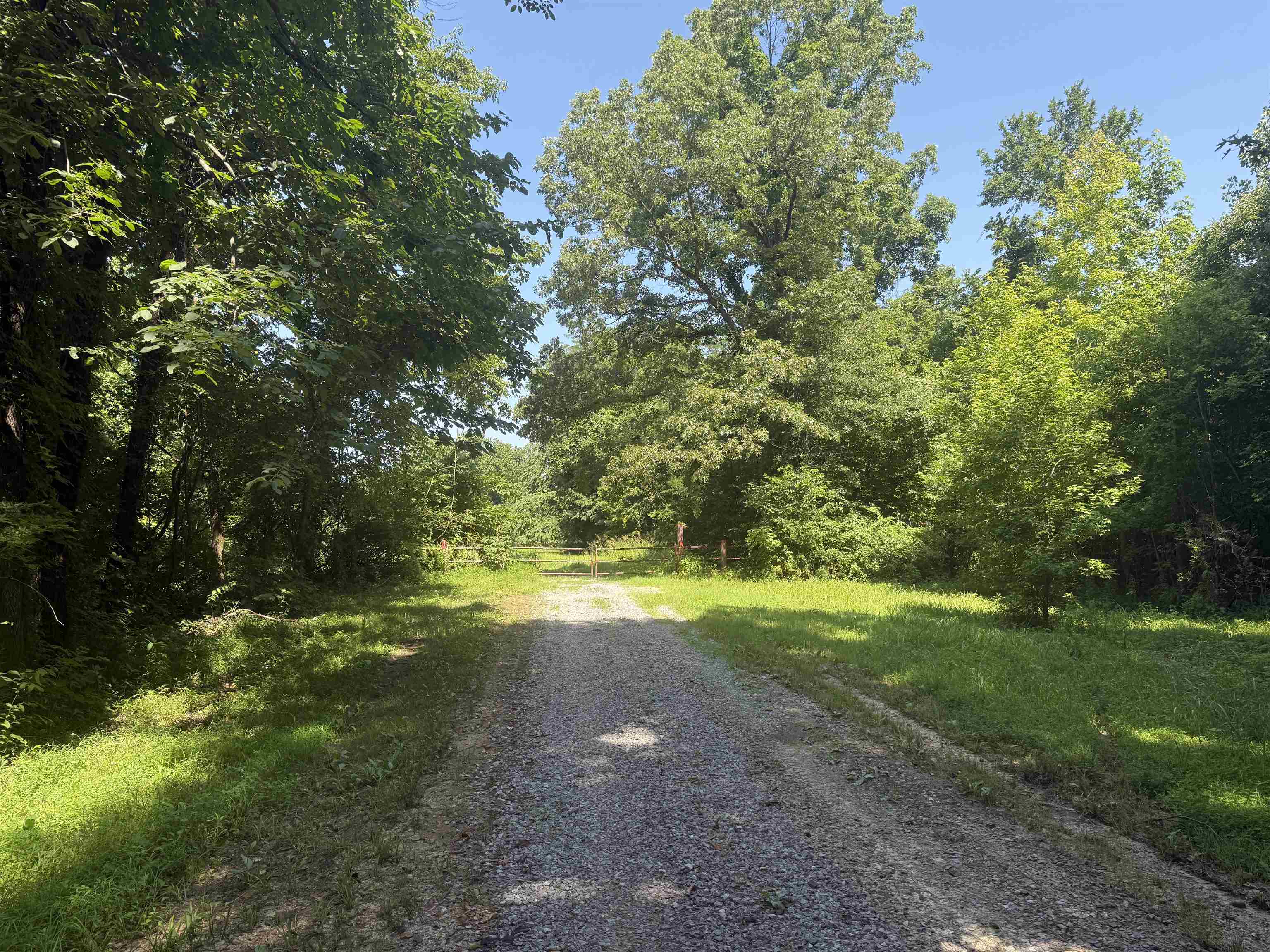 0 Dixon Road Millington, TN 38053 - Photo 5 of 14 a view of yard with green space