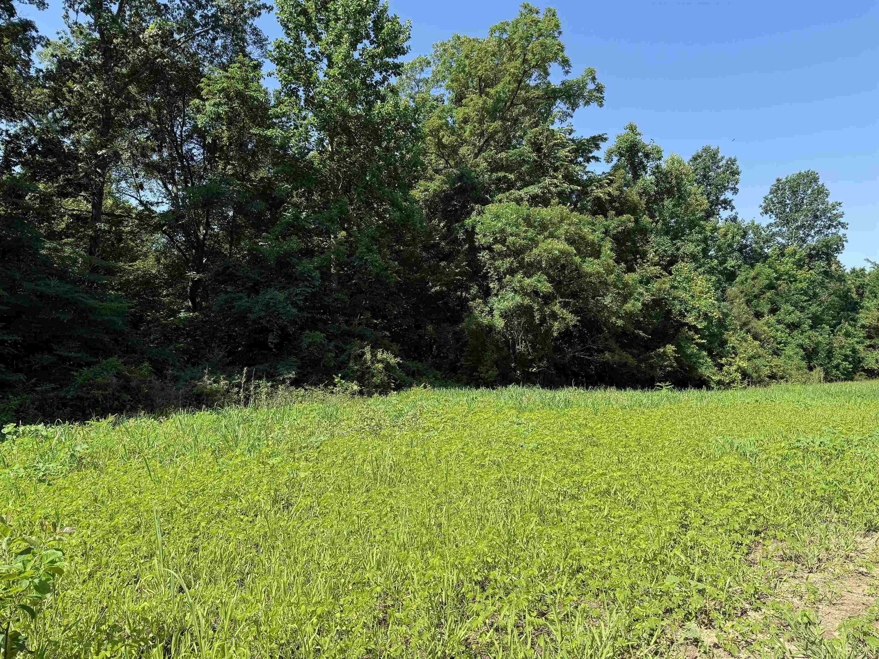 0 Dixon Road Millington, TN 38053 - Photo 9 of 14 a view of outdoor space with deck and yard