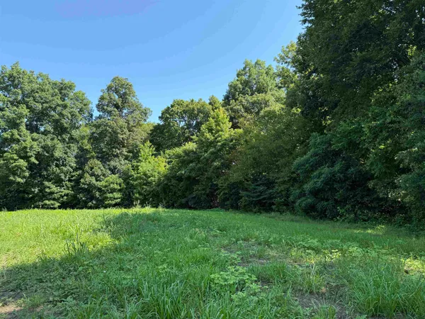 a view of a field with a tree in the background