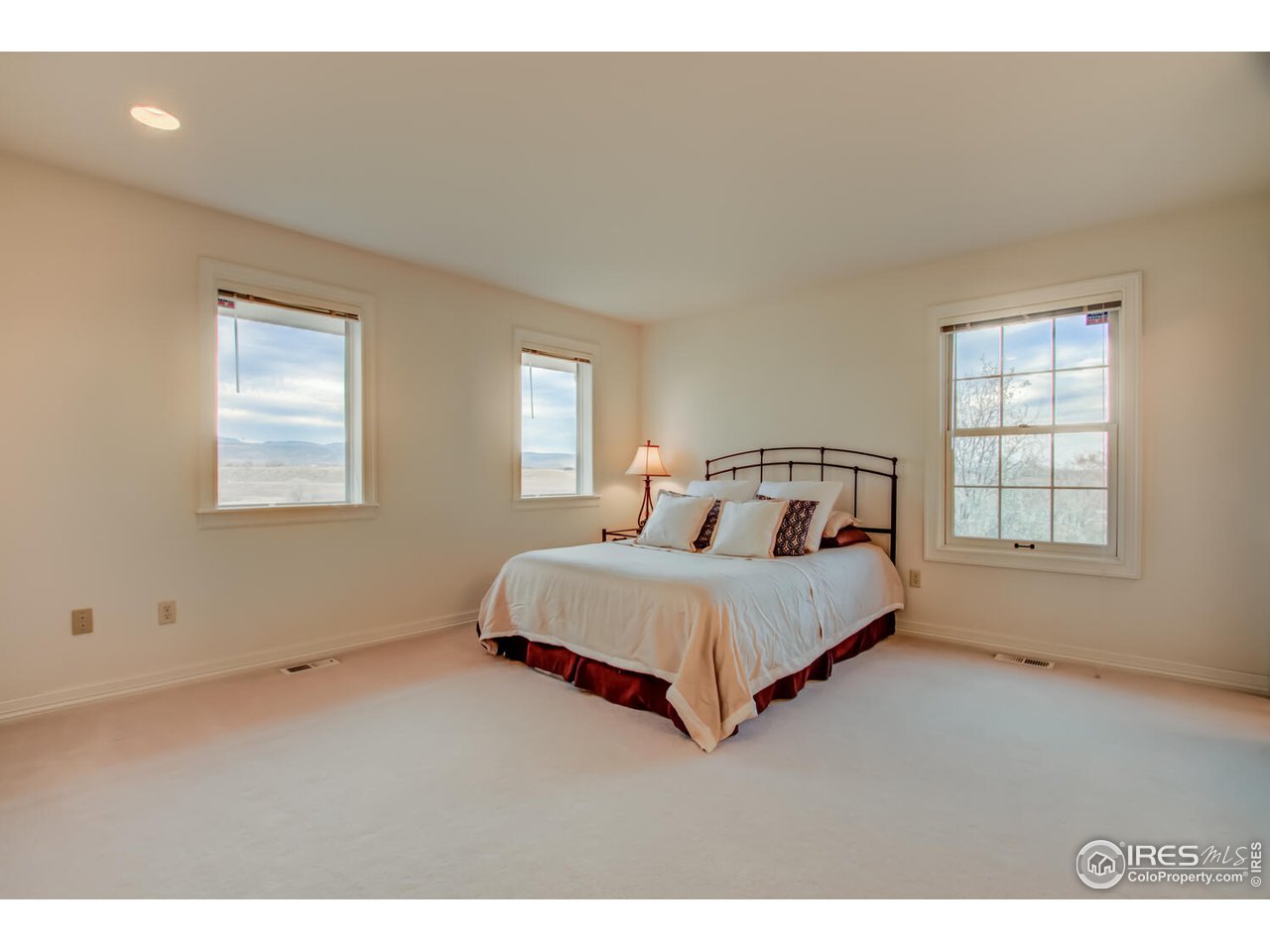 7401 Deerfield Road Longmont, CO 80503 - Photo 29 of 39 Bedroom #3