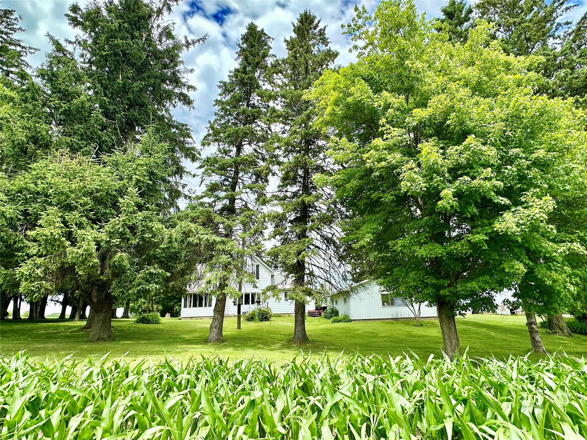 N3236 Nelson Road Stockholm, WI 54769 - Photo 16 of 42