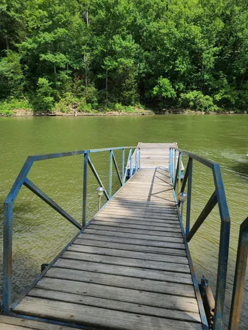 a view of path along with flowers and flowers