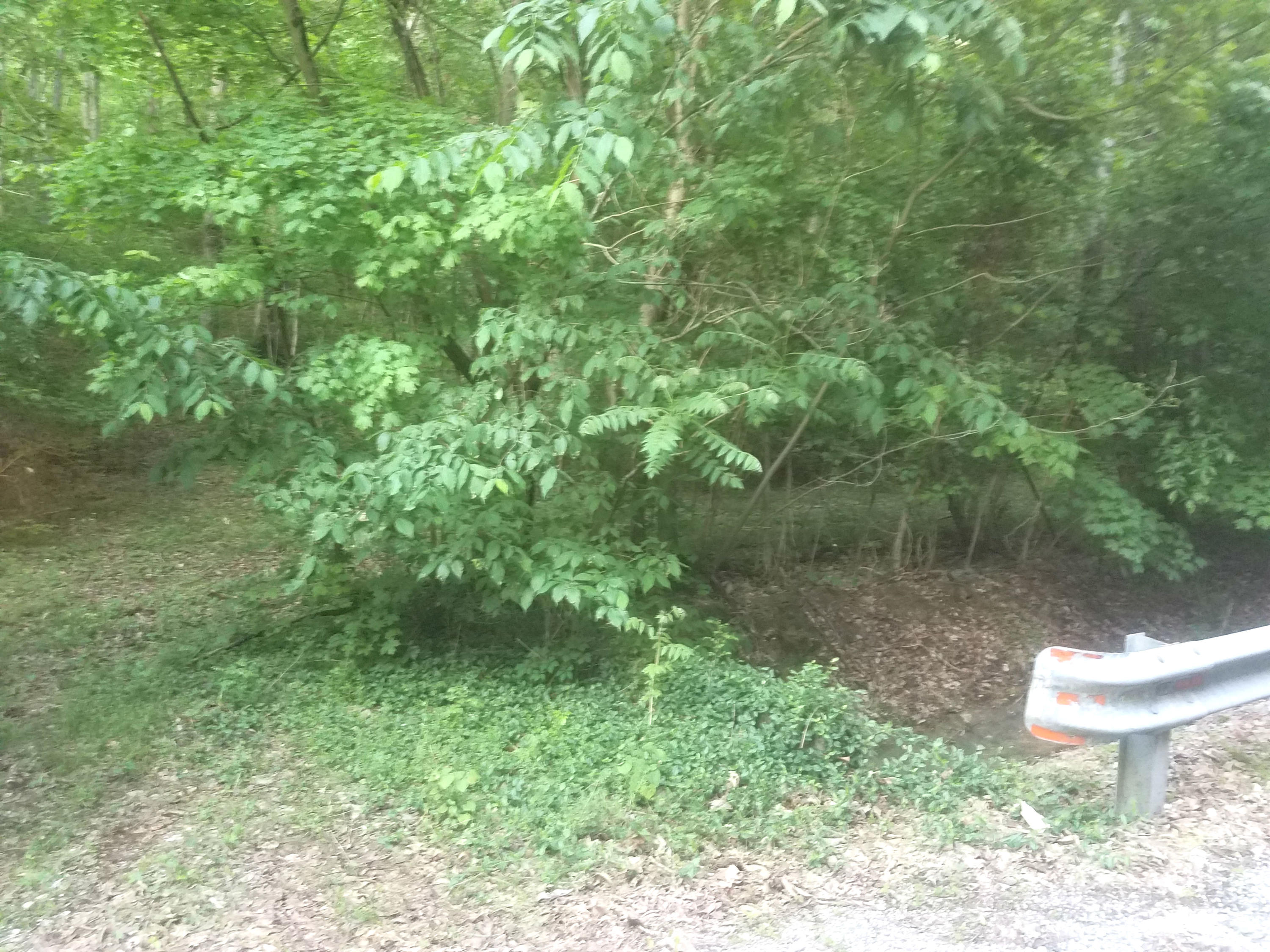 0 Gann Store Road, Unit 10 Hixson, TN 37343 - Photo 1 of 3 Beautiful lot to build on
