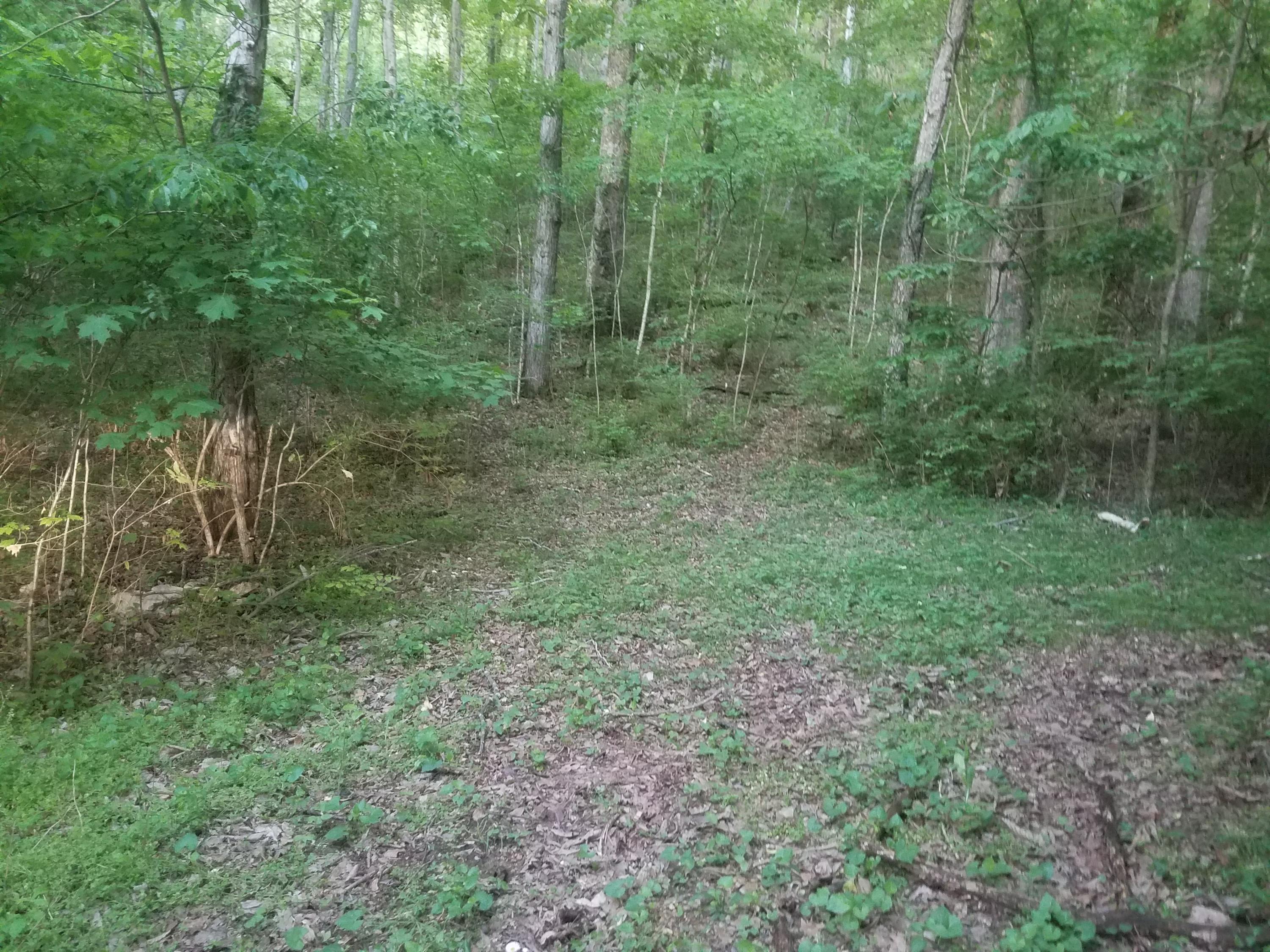 0 Gann Store Road, Unit 10 Hixson, TN 37343 - Photo 2 of 3 Zoned to Big Ridge Elem !