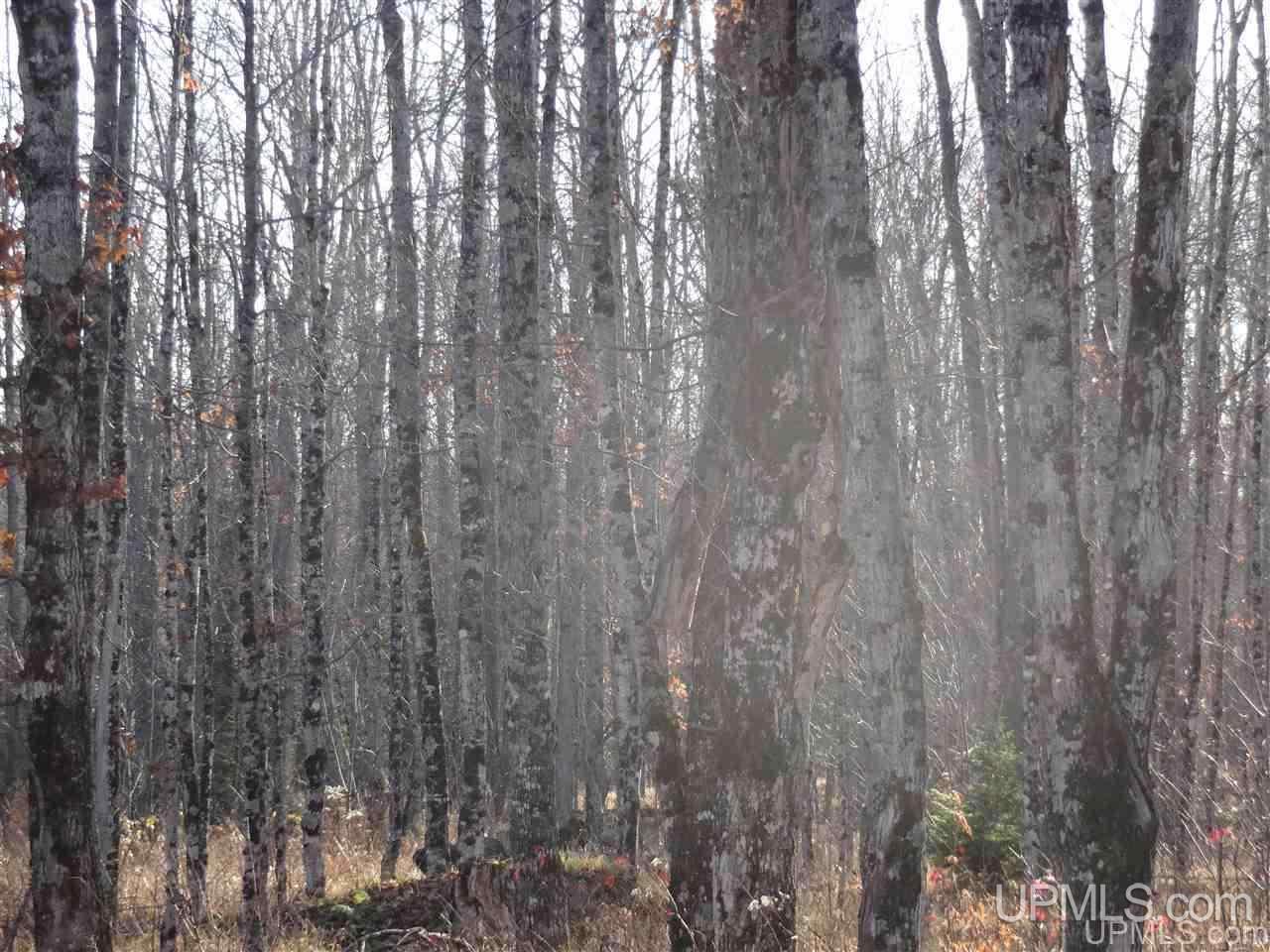 Tbd Net River Road, Unit 8 Crystal Falls, MI 49920 - Photo 4 of 4