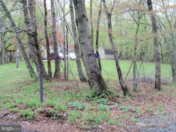921 Carsins Run Road Aberdeen, MD 21001 - Photo 13 of 17 SLIGHTLY WOODED
