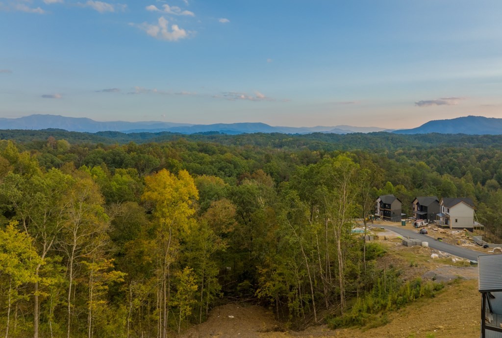 1249 Reedmont Way Sevierville, TN 37876 - Photo 28 of 34 Gallery Image 28