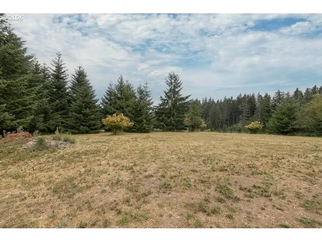 a view of a outdoor space with trees