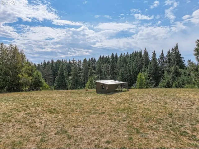 an aerial view of houses covered in trees