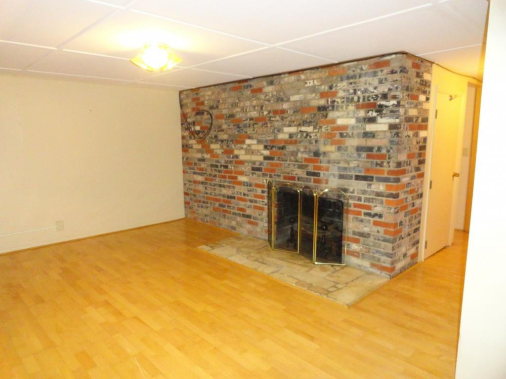 157 Snyder Road Gray, TN 37615 - Photo 23 of 36 Fireplace in basement den