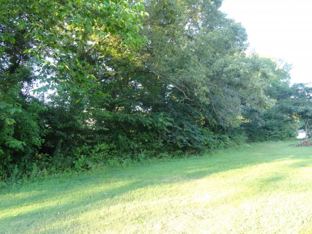 157 Snyder Road Gray, TN 37615 - Photo 36 of 36 Tree line for privacy